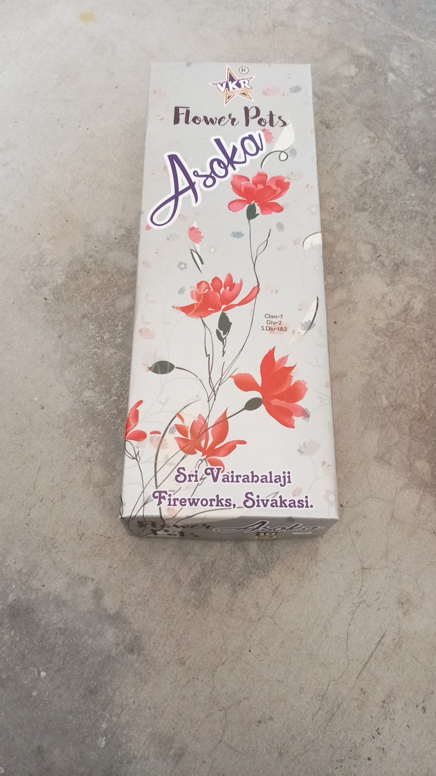 Flower Pot Asoka